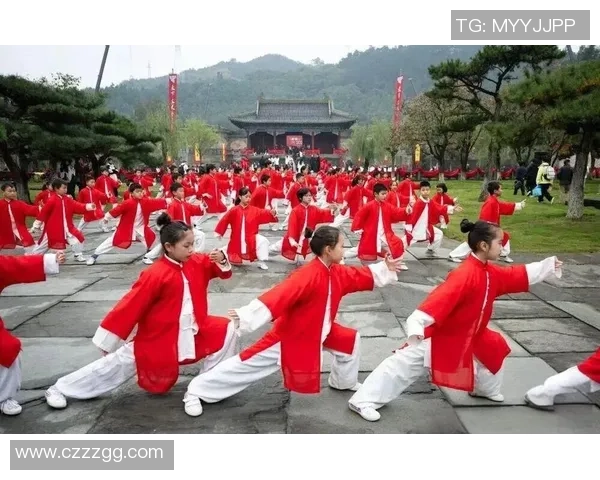 中外选手武当山商讨太极拳
